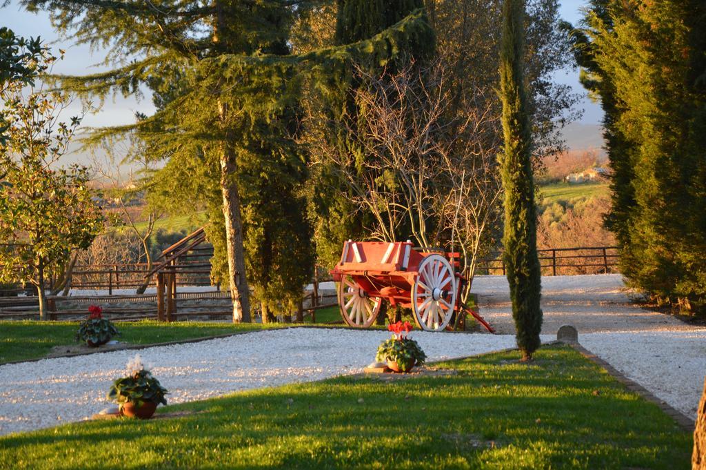 Agriturismo La Collina 皮蒂利亚诺 客房 照片