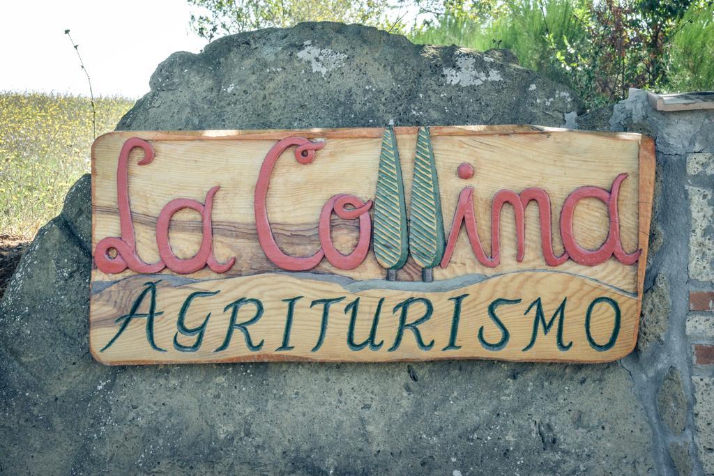 Agriturismo La Collina 皮蒂利亚诺 外观 照片