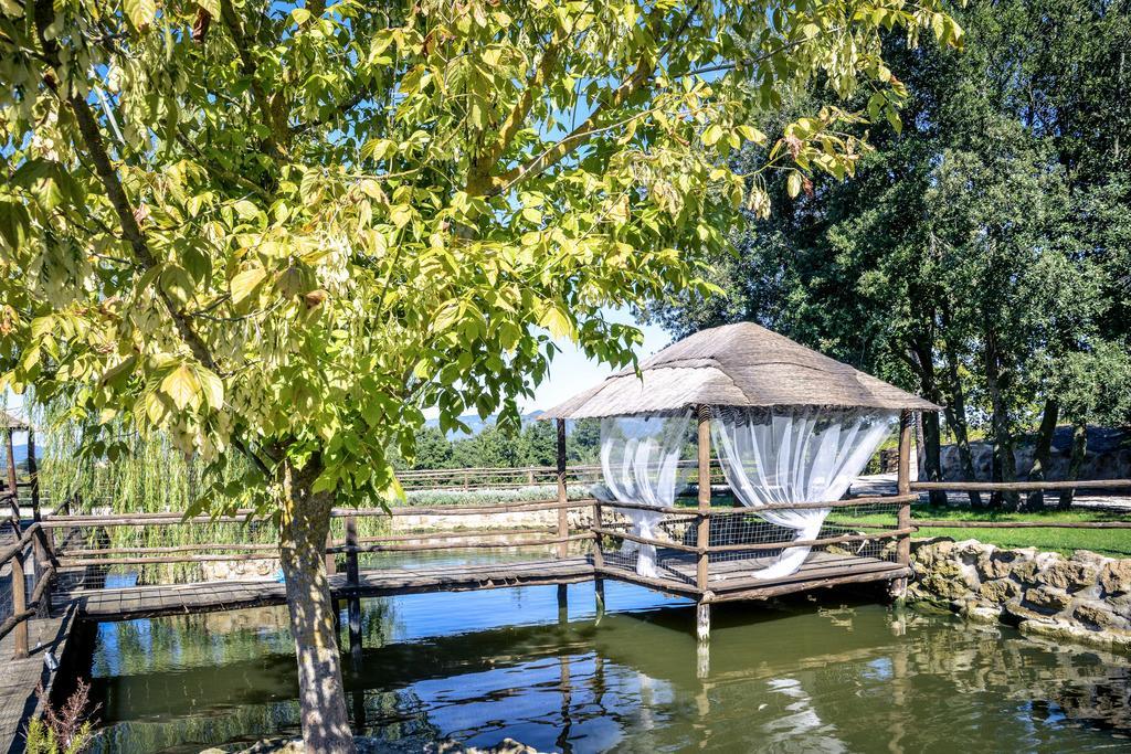 Agriturismo La Collina 皮蒂利亚诺 外观 照片